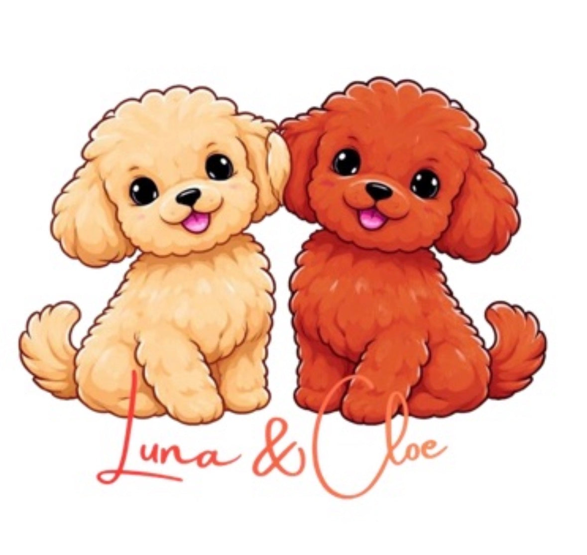 ANIMALI🐾