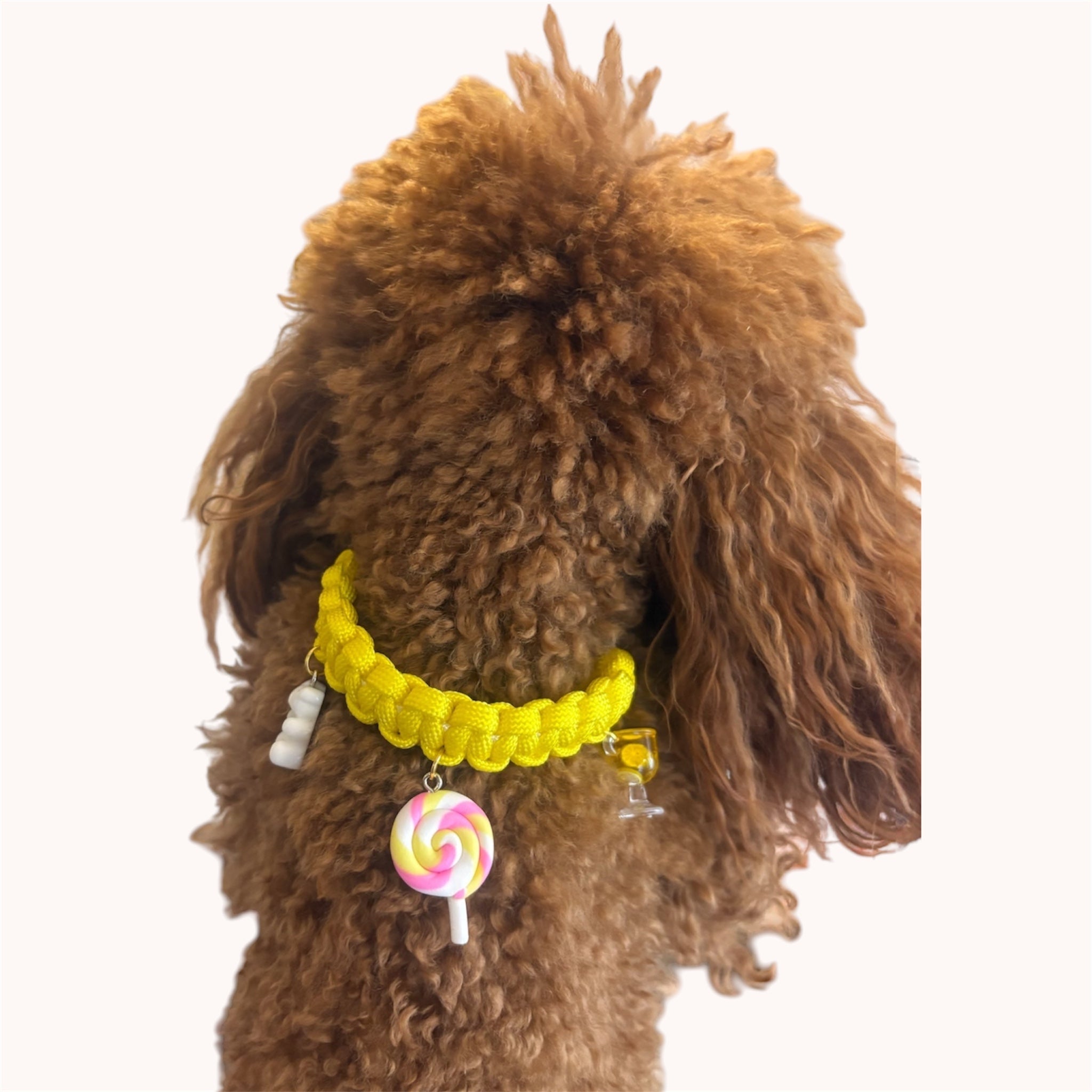 Collanina per cane – Candy Style 🍭