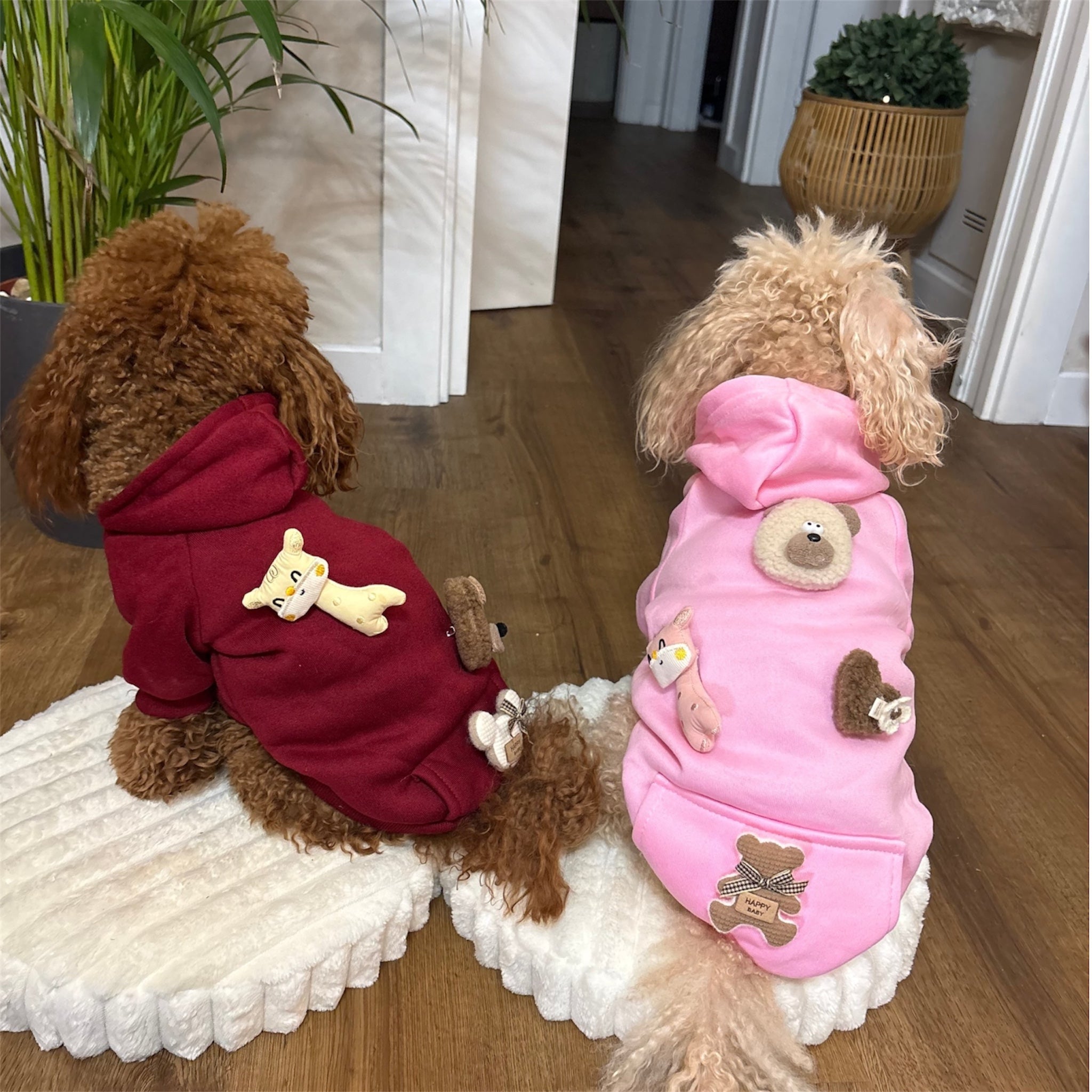 🧸 Felpa Teddy 3D – Coccole da Indossare