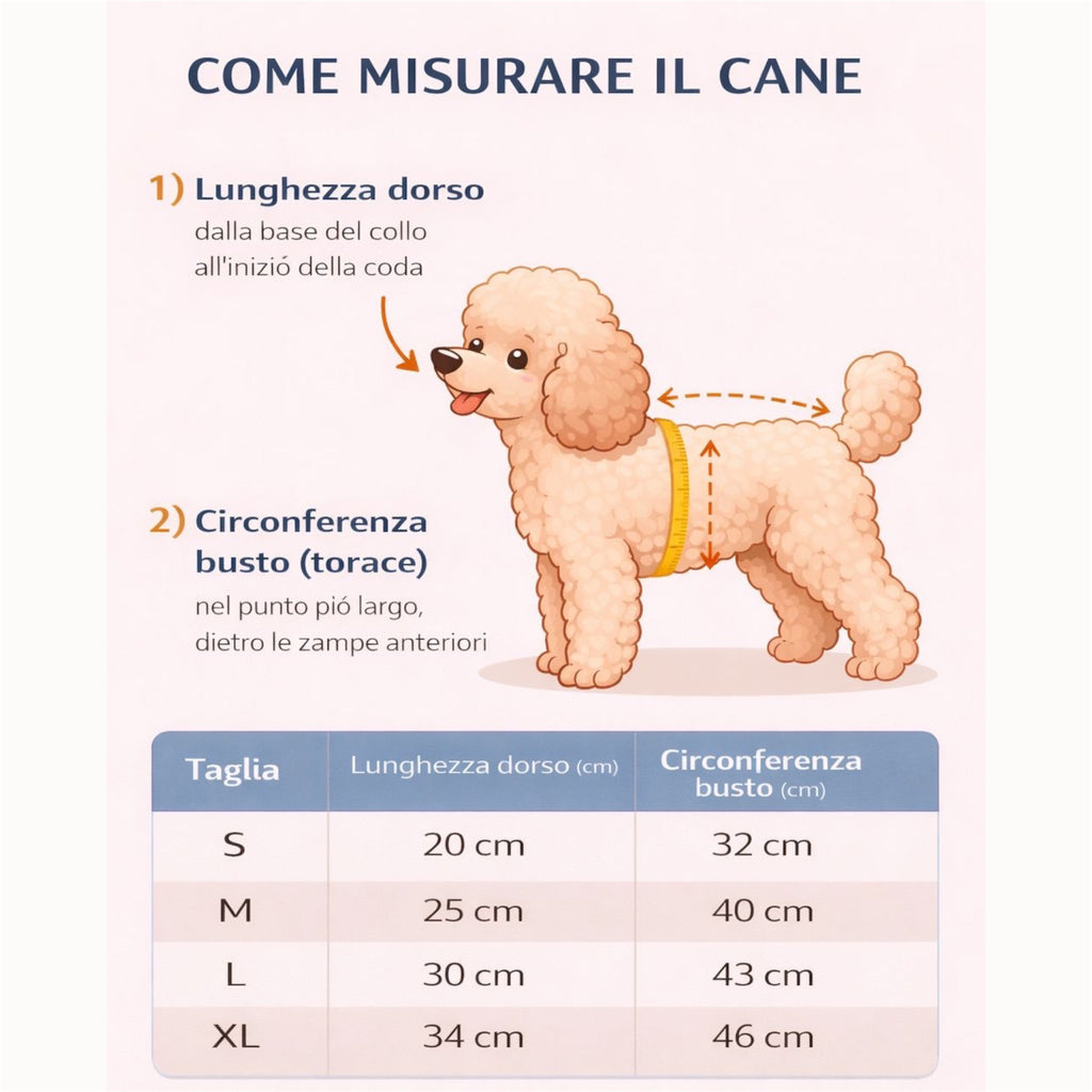 Giacchetto in jeans per cani personalizzato con nome ricamato e fiorellini all’uncinetto!🔥